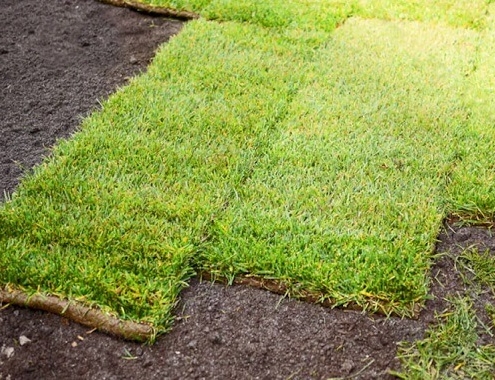 Fresh Sod Installation Cost