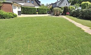 Steps to Lay Down Sod