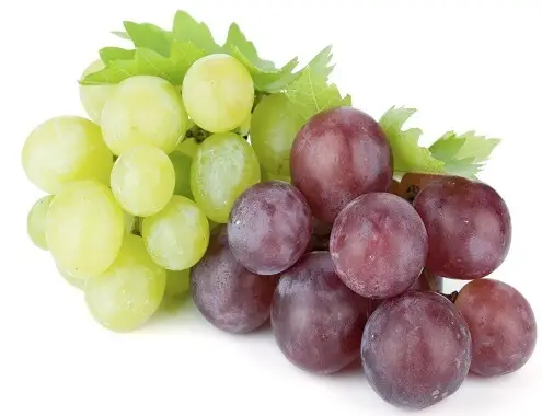 Grapes Cost