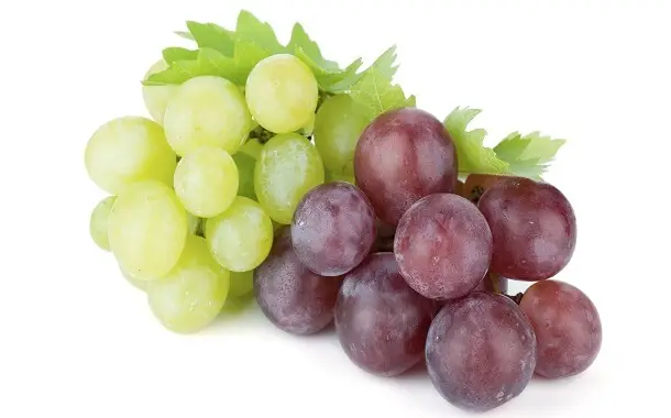 Grapes Cost