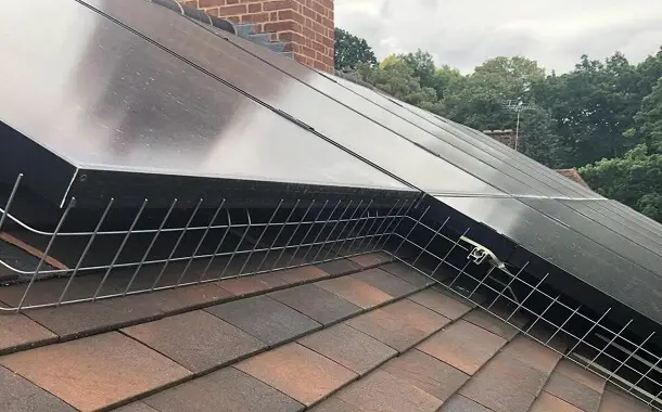 Pigeon and other Bird Proofing Solar Panel Cost