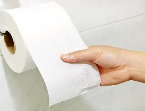 Toilet Paper Cost