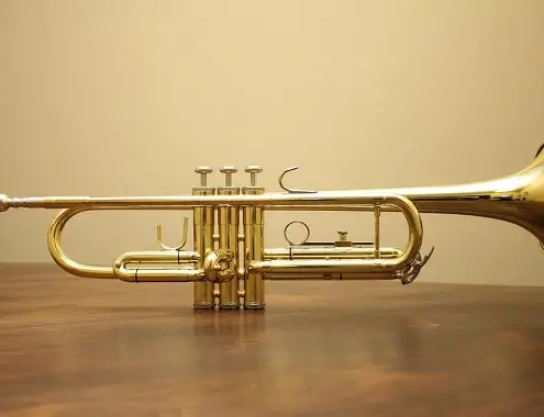 Trumpet cost