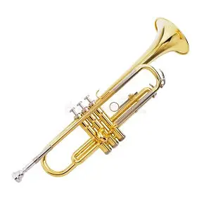 Trumpet Type