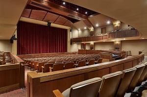 school auditorium fees