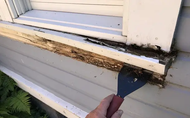 Window Sill Plate Replacement Cost