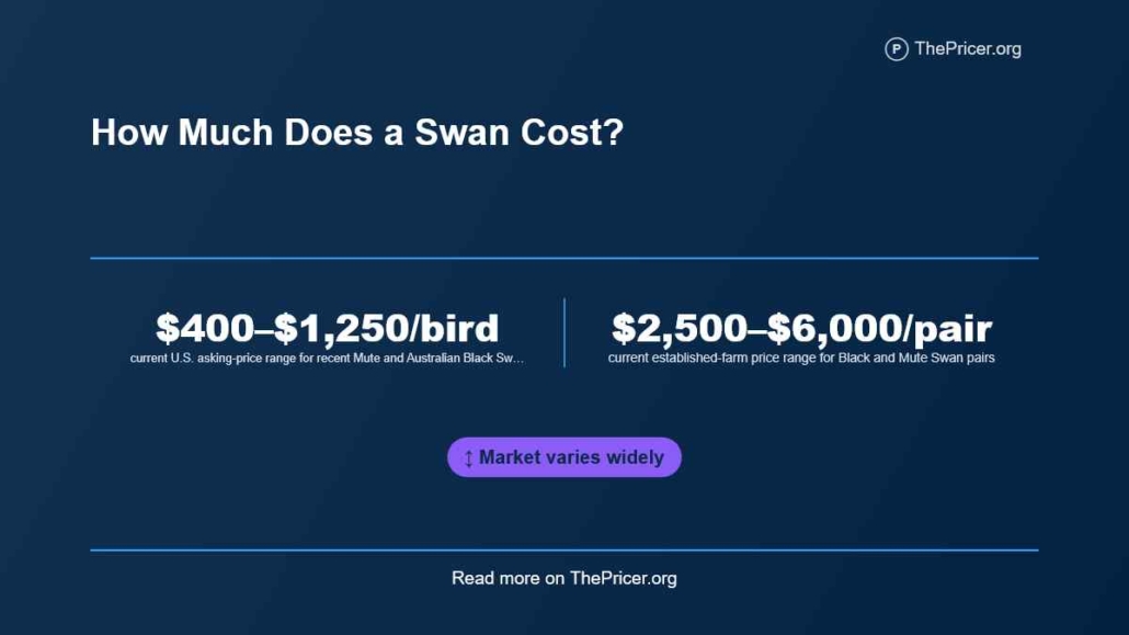 Swan Cost