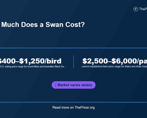 Swan Cost