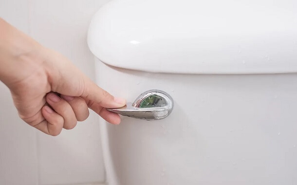 Toilet Flush Cost