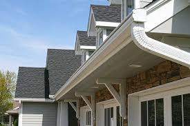 LeafGuard on House