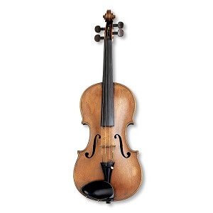 Type of Violin