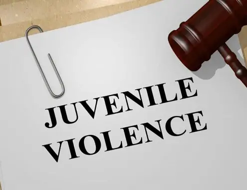 Juvenile Crimes Attorney Cost