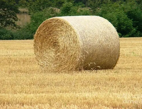 Bale of Straw Cost