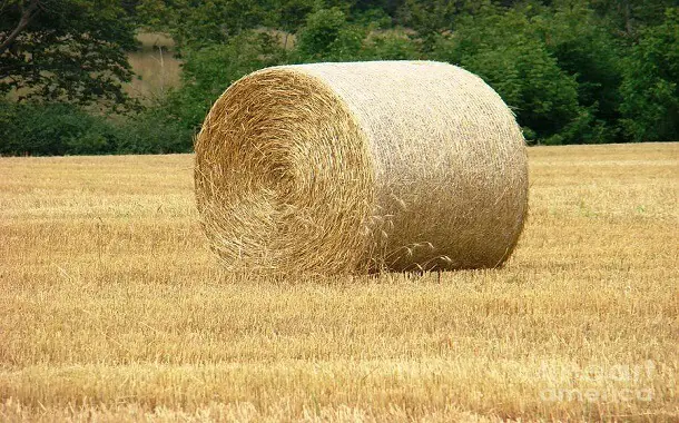 Bale of Straw Cost