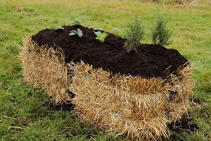 Gardening with Straw Bales