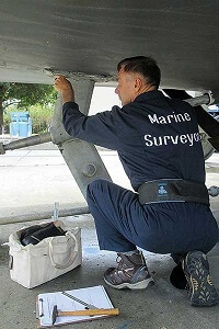Marine Surveyor Services