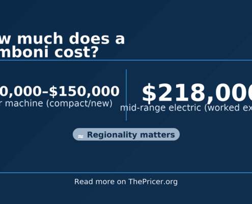 Zamboni Cost