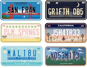 License Plate Examples