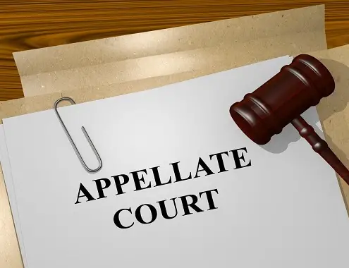 Cost of Appeal