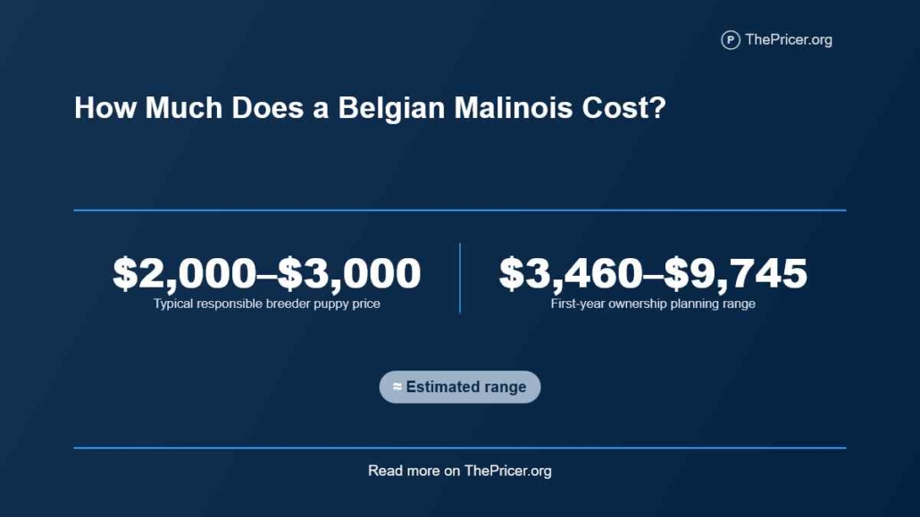 Belgian Malinois Cost
