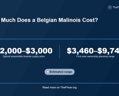 Belgian Malinois Cost