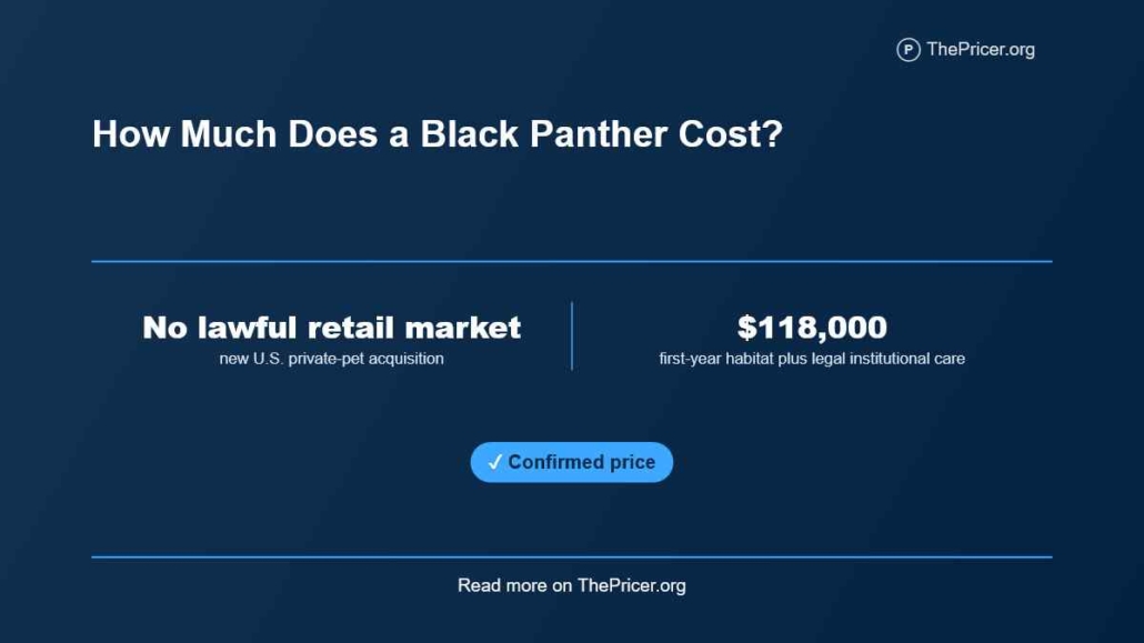 Black Panther Cost
