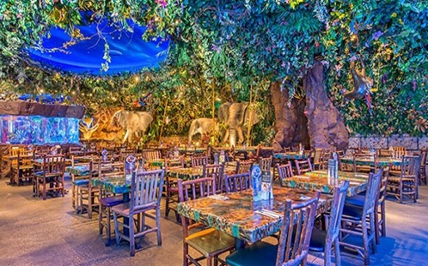 Rainforest Cafe Vegan Menu Prices