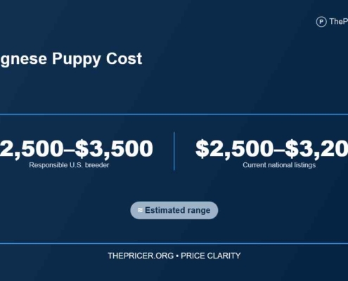 Bolognese Dog Cost