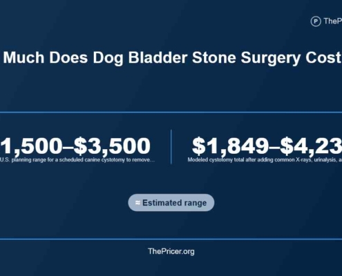 Dog Bladder Stones Surgery Cost