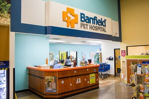 Banfield Wellness Plan Explained