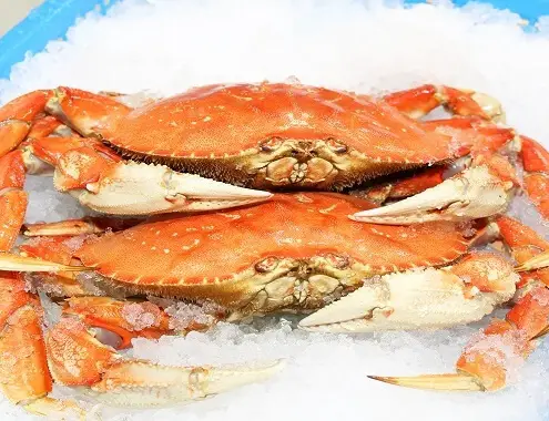 Dungeness Crab Cost