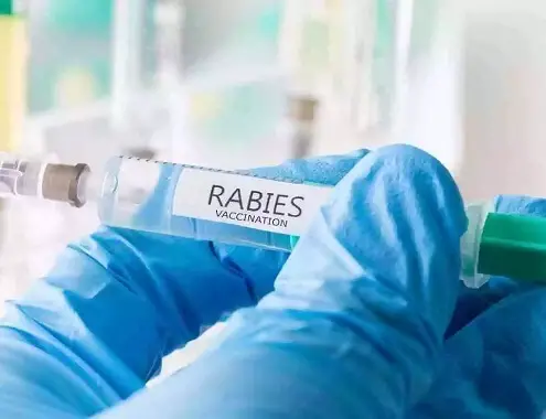 Rabies Vaccine Cost for Humans