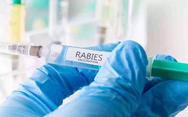 Rabies Vaccine Cost for Humans