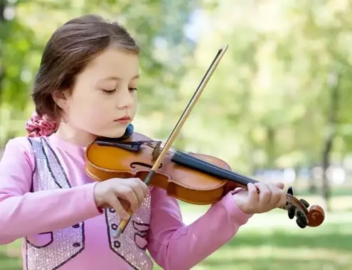 Violin Lessons Cost