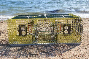 Lobster Trap bu the Water