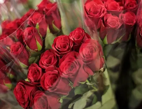 Dozen Roses For Valentine's Day Cost