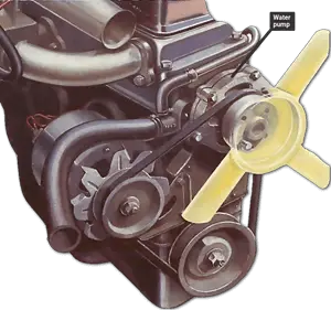 Water Pump and Drive Layout