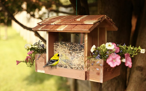 Bird Feeder Cost