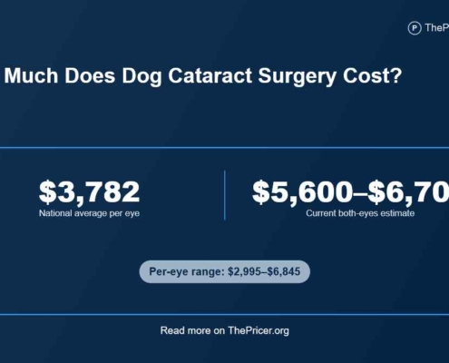 Dog Cataract Surgery Cost