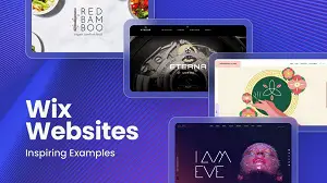 Wix Website