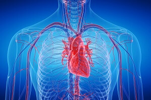 Heart Transplant