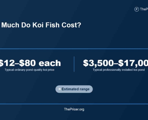 Koi Fish Cost