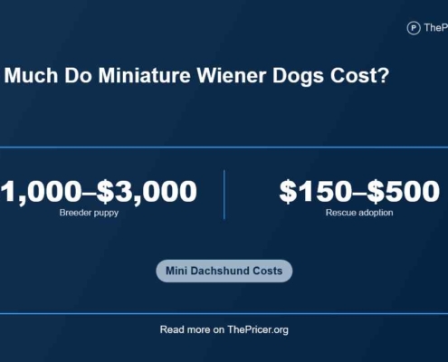 Miniature Weiner Dogs Cost