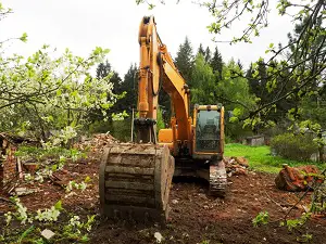 Clearing Land