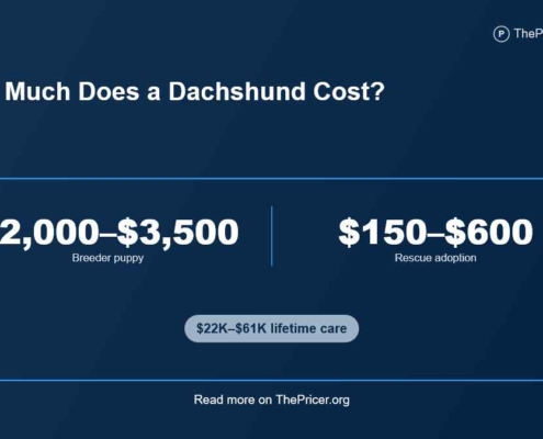 Dachshunds Cost
