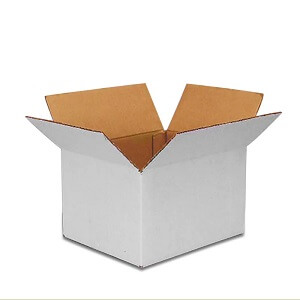 White Cardboard