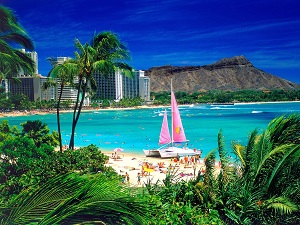 Live in Hawaii