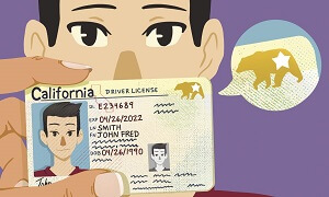 Real ID