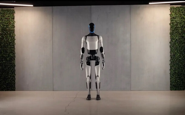 Tesla Robot Cost