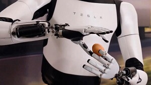 Tesla Robot